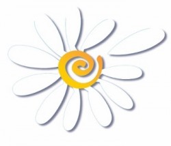 kashino