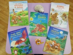 фото новых книг