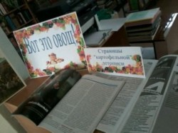 yDLDoUyfch8